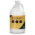 Froggy'S Fog Quik Blast Fast Dissipating Fog Fluid - 1 Gallon DS-QB-1